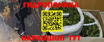крисы Кимры