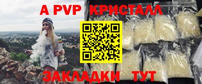 спайс Кингисепп