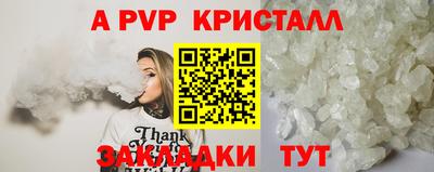 спайс Кингисепп